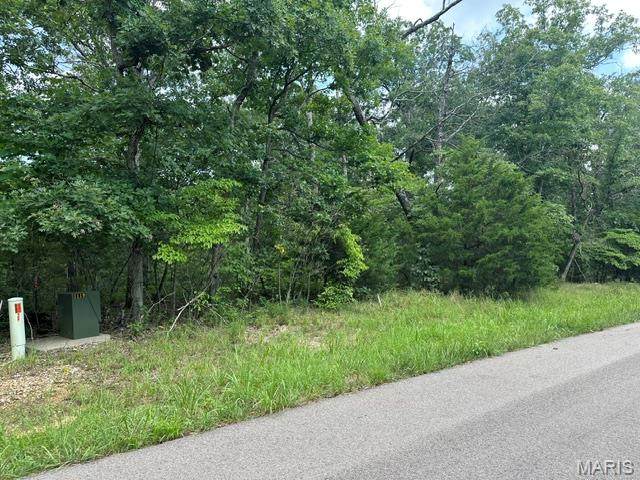 483 Buzzard Rock Road - Photo 1