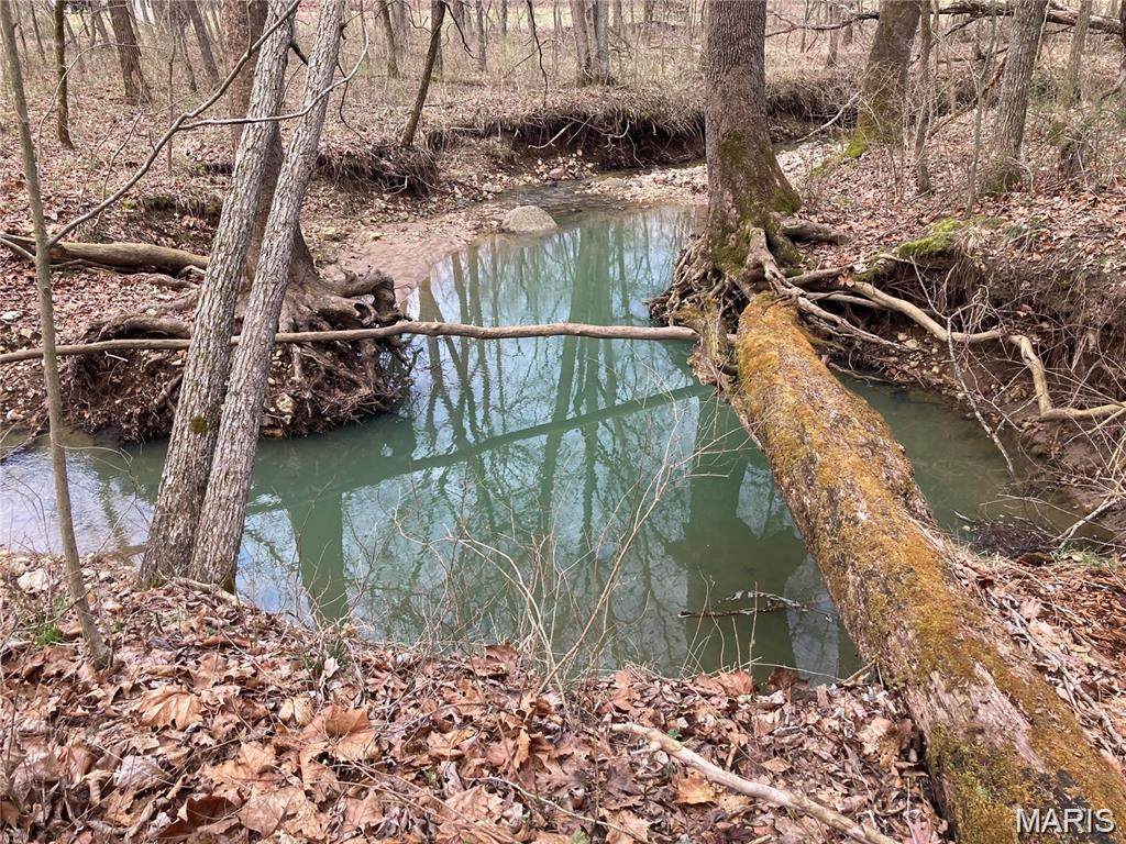 50.15 +/- Acres Pendleton Lost Creek Road - Photo 1