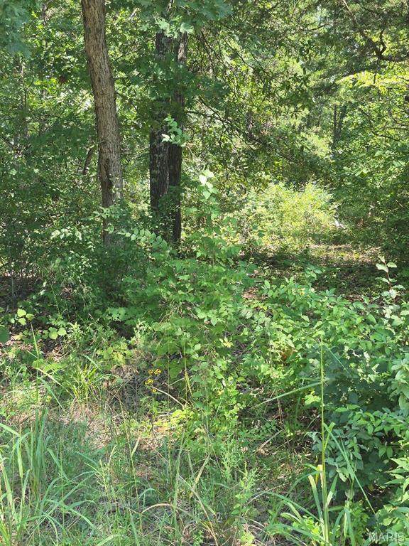 9438 Cedar Drive - Photo 1