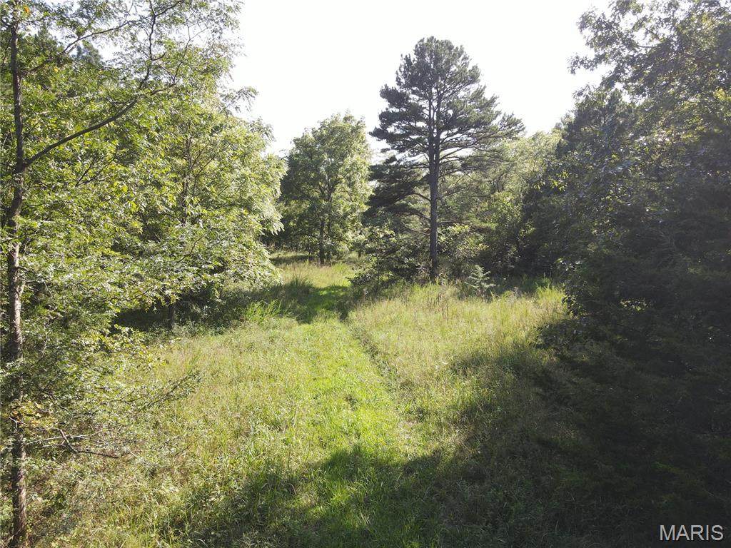 000 Aspen Road - Photo 1
