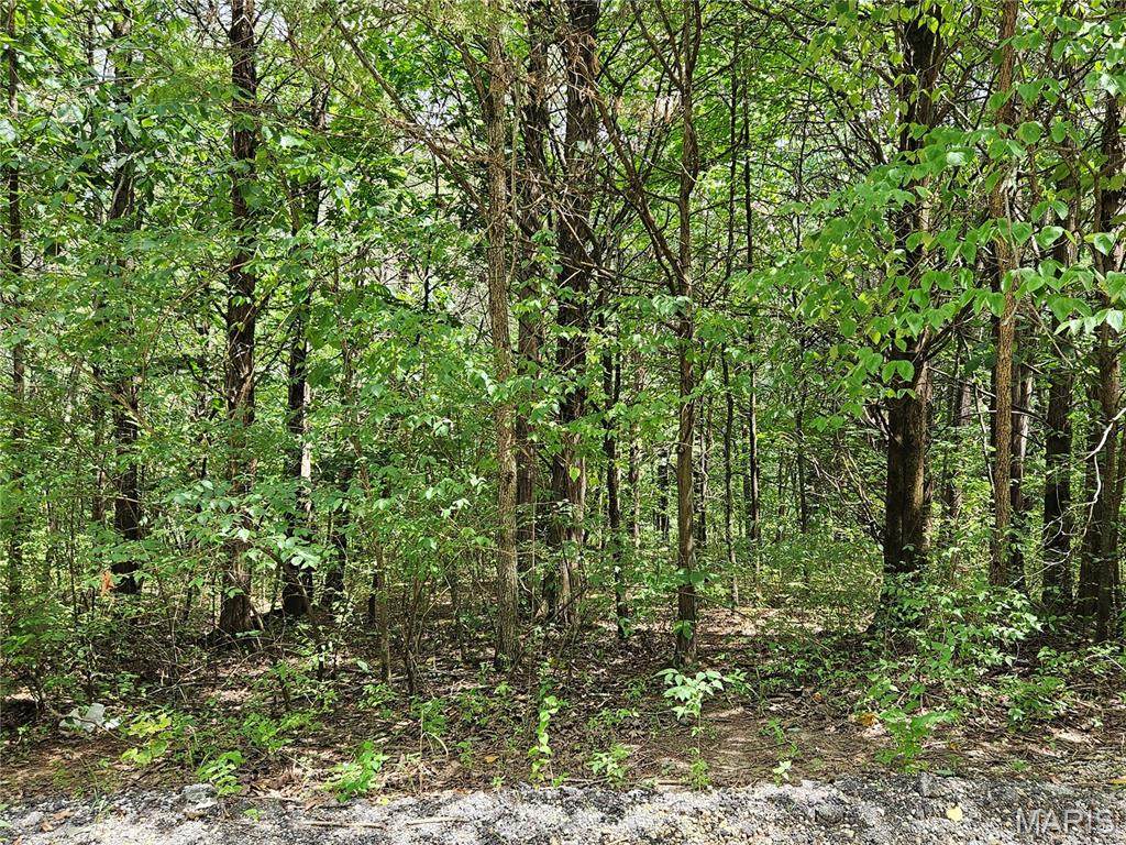9480 Bent Tree Drive - Photo 1