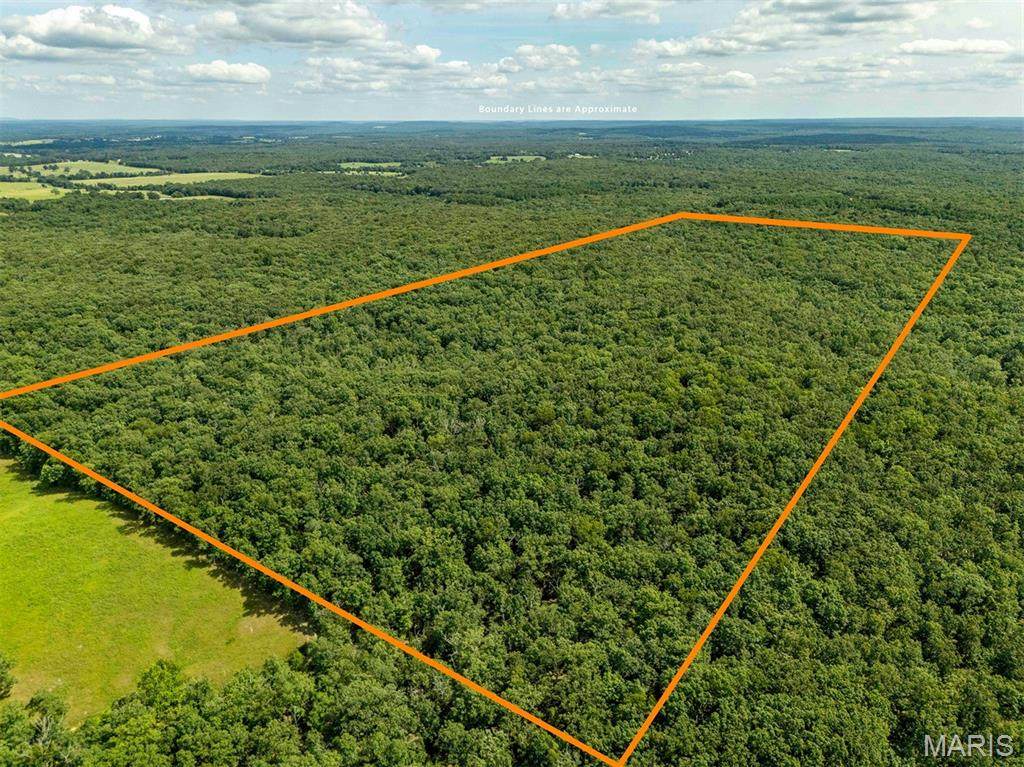 00 Fire Tower Road - Photo 1