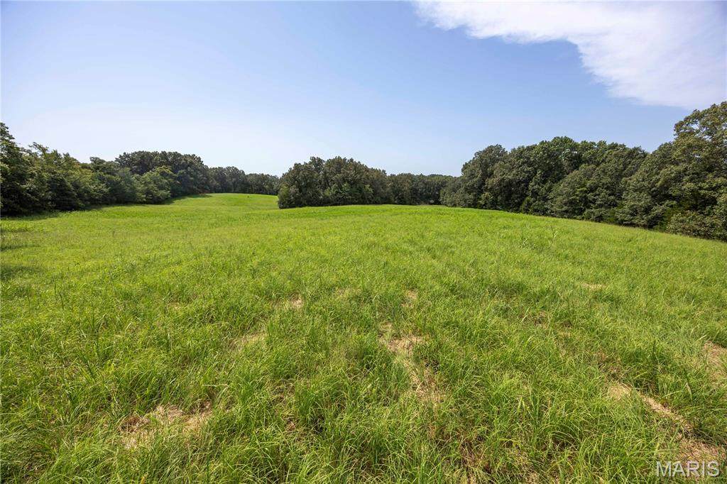 Tract 1 Sweetgum Ln - Photo 1