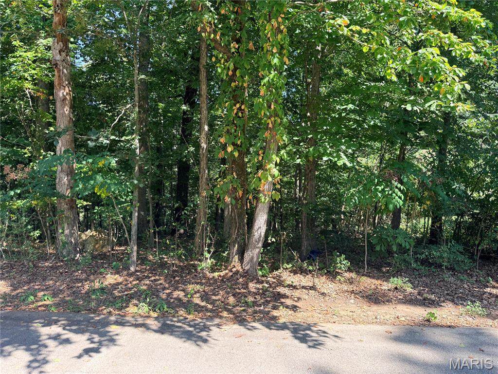 685 Radcliff Lane - Photo 1