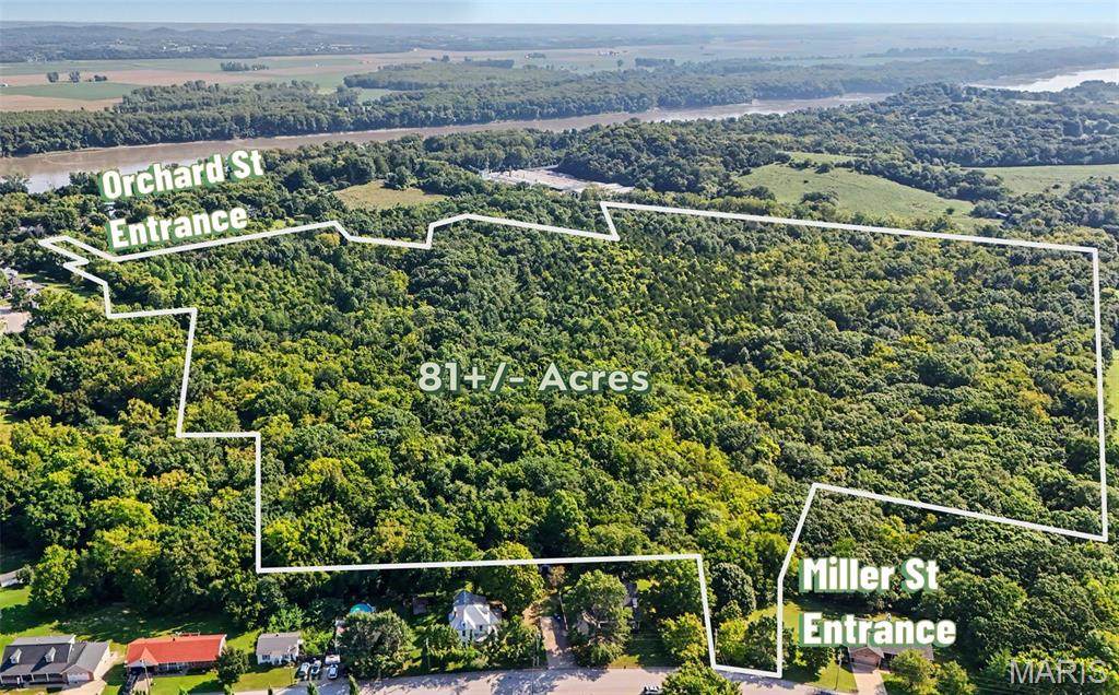 81 ACRES Miller Street - Photo 1