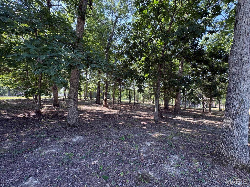 Lot 18 Hase's Lair - Photo 1