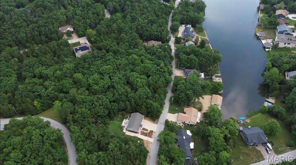 Lot 29// 10243 Lake Ridge Drive - Photo 1