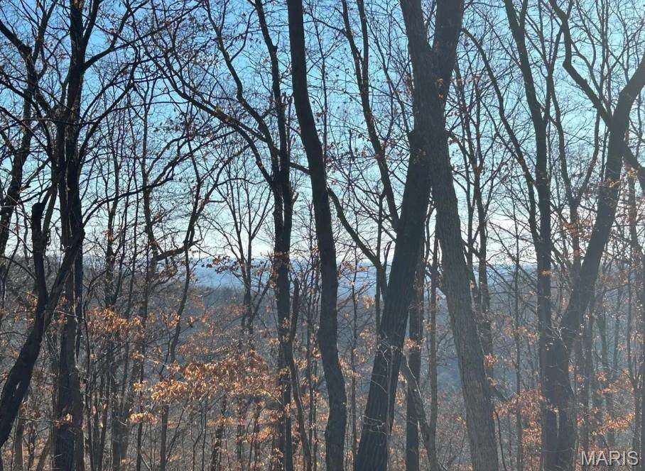 406 Big River View - Photo 1