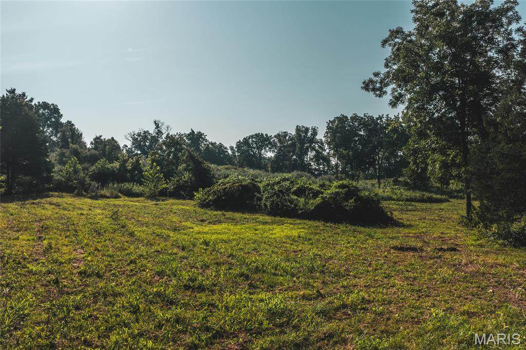 TBD Stegner Drive - Photo 1