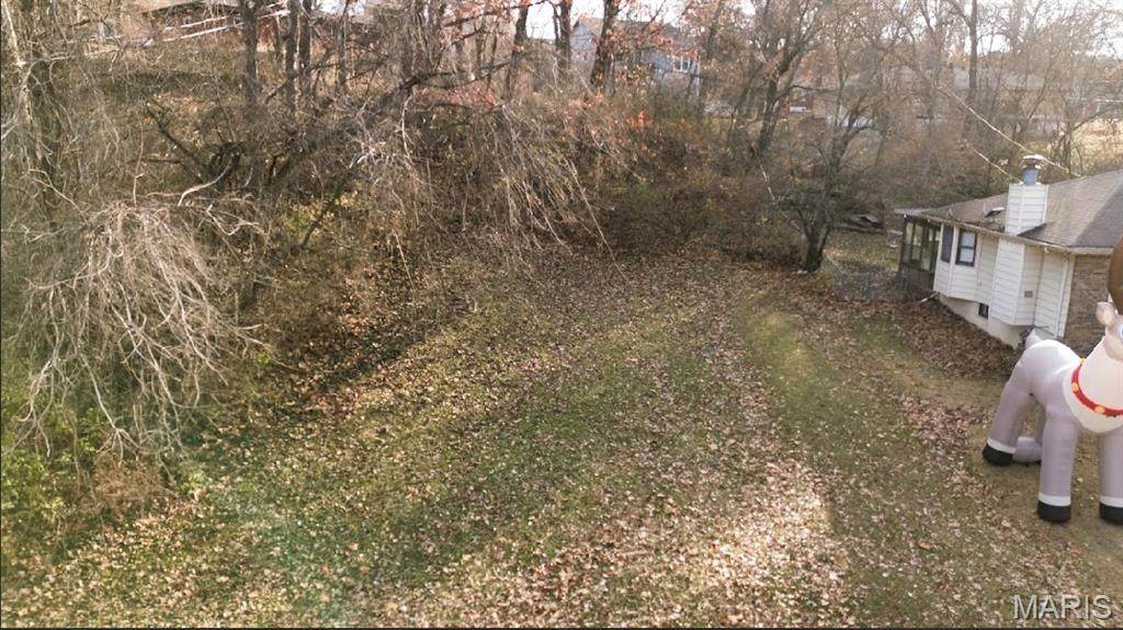 Lot 12// 11239 Smart Avenue - Photo 1