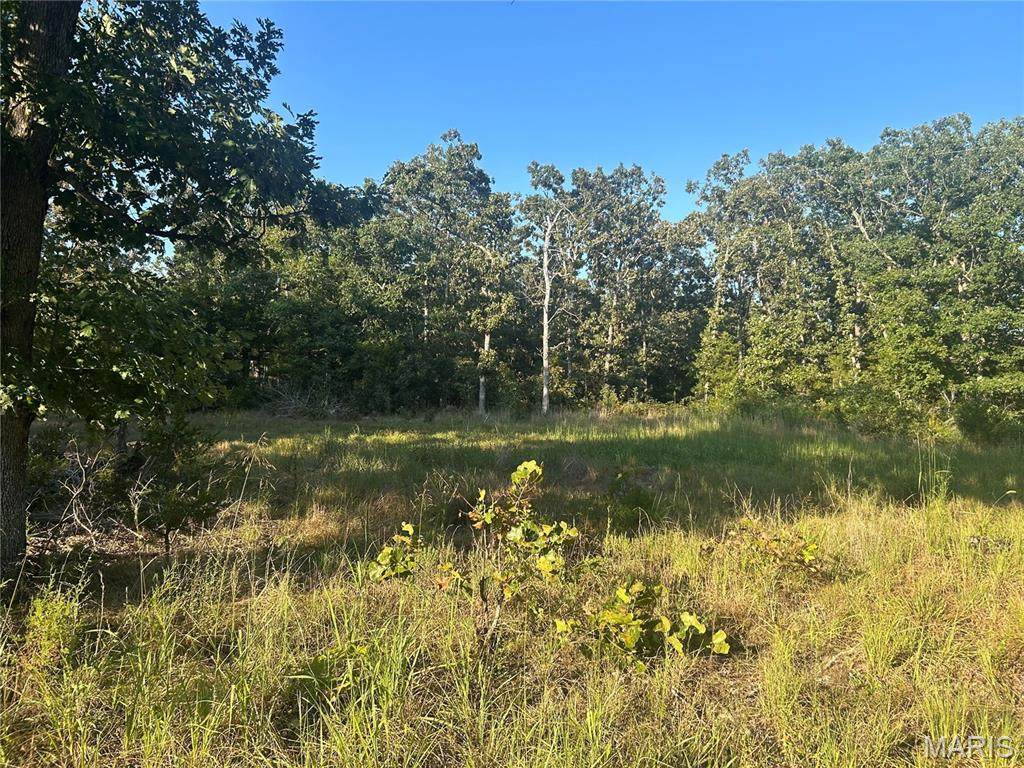 000 County Road 2340 - Photo 1