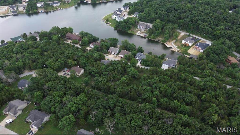 Lot 115// 10153 Lake Ridge Drive - Photo 1
