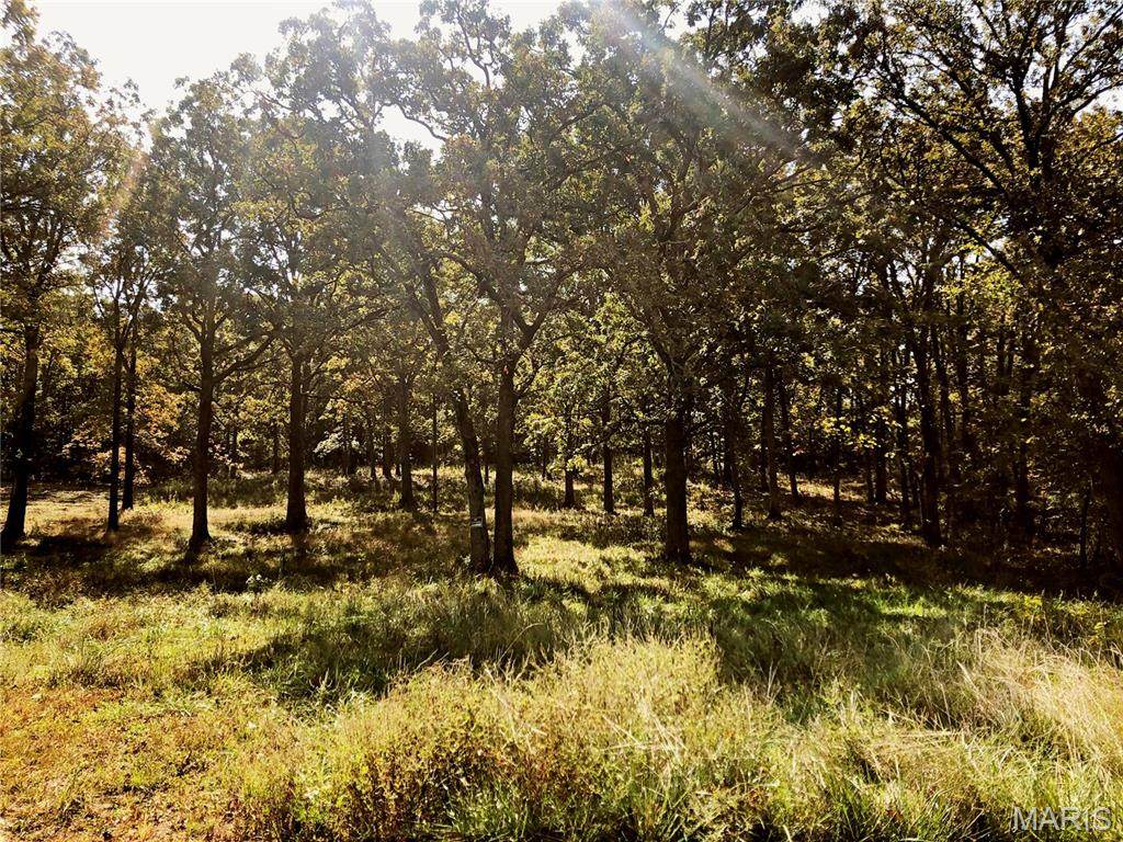 10240 County Road 3060 - Photo 1