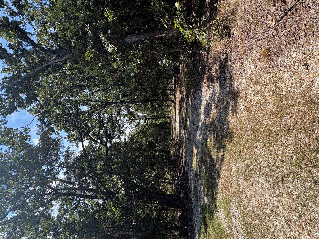 16505 State Route K - Photo 1