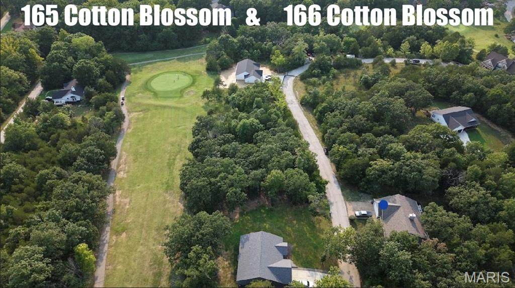 2 Lots// 165 & 166 Cotton Blossom Drive - Photo 1