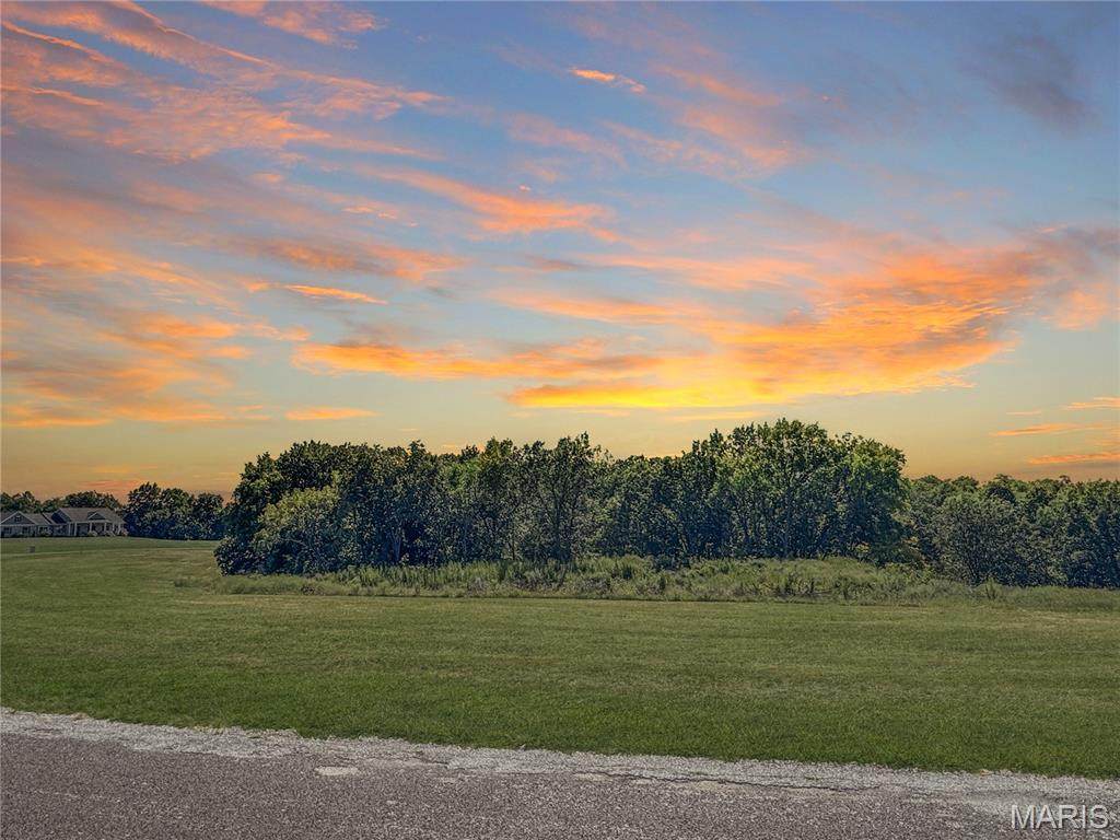 Lot 1 Austin Drive - Photo 1