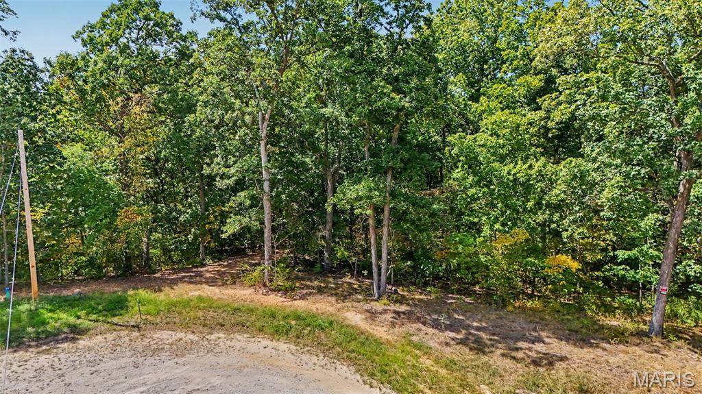 23 Turning Leaf Lane - Photo 1