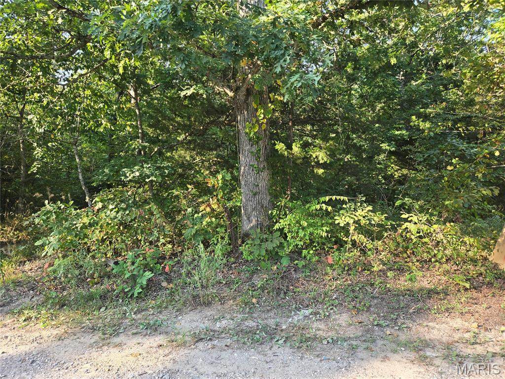 0 Tranquil Oaks - Photo 1