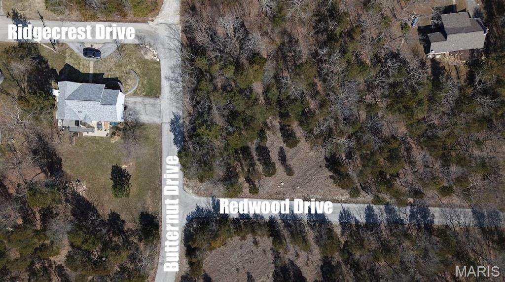 Lot 200// 9852 Butternut Drive - Photo 1