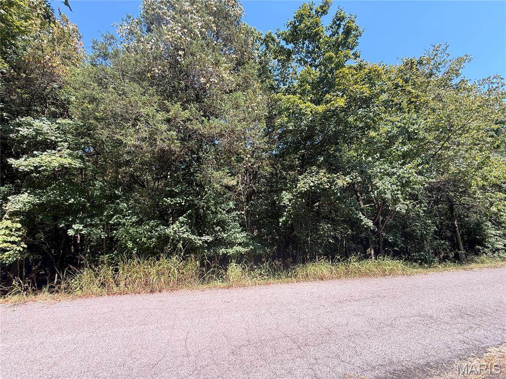 0 Terre Bleue And Hedgeapple Drive - Photo 1