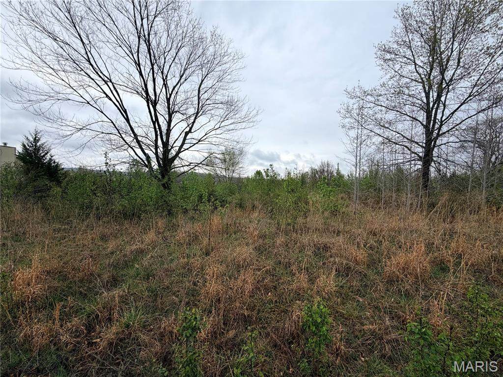 0 Salina Road - Photo 1