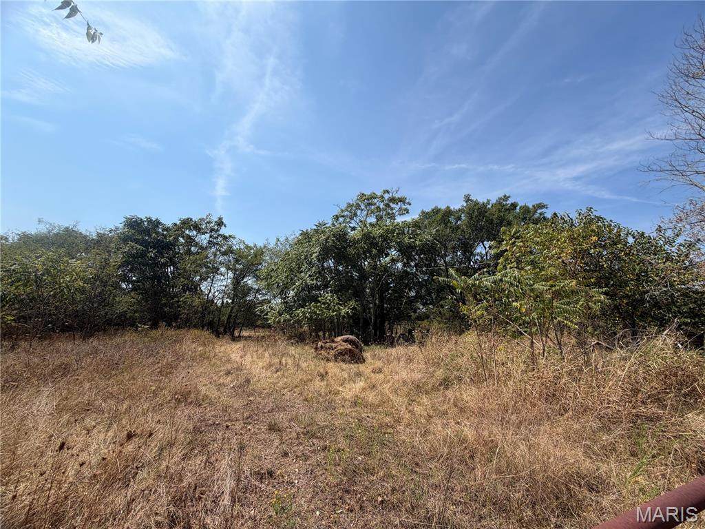 14800 Highway Ww - Photo 1