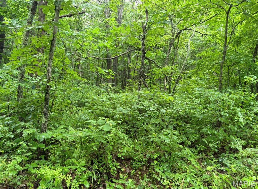 000 County Road 512 - Photo 1