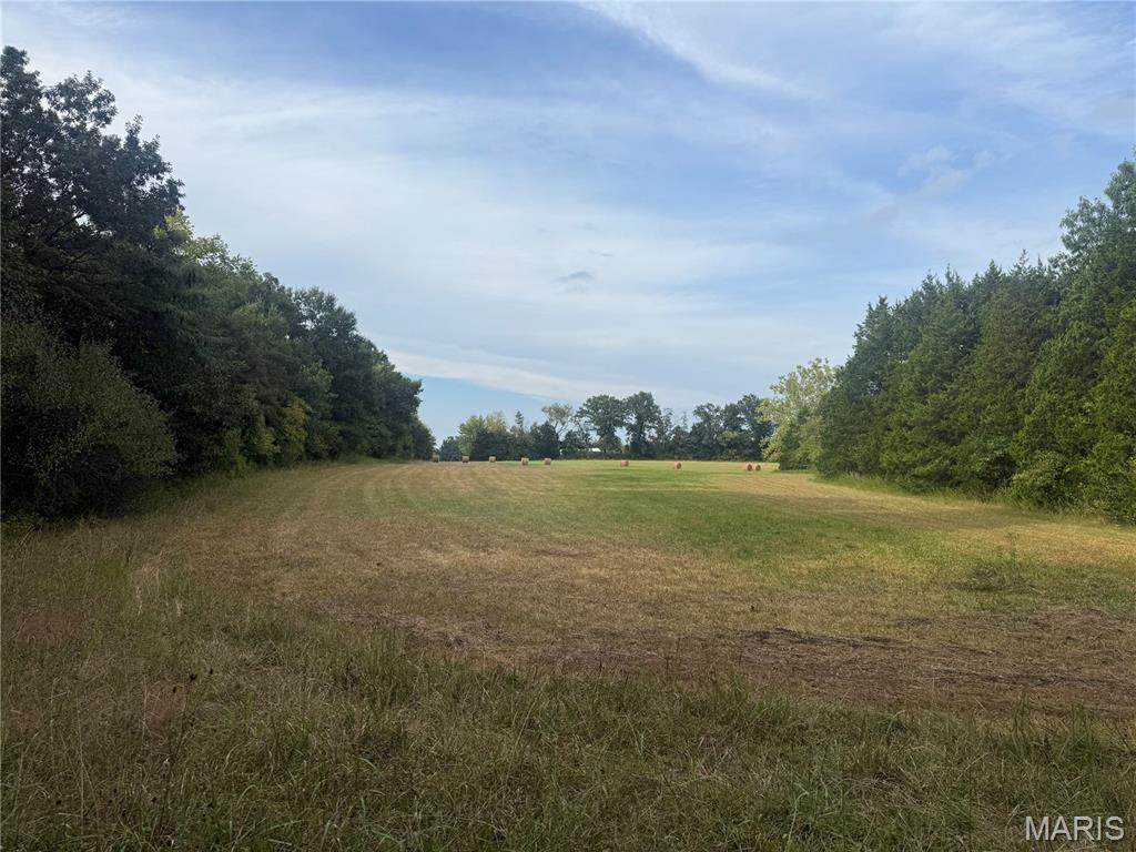 32 acres Pinckney Street - Photo 1