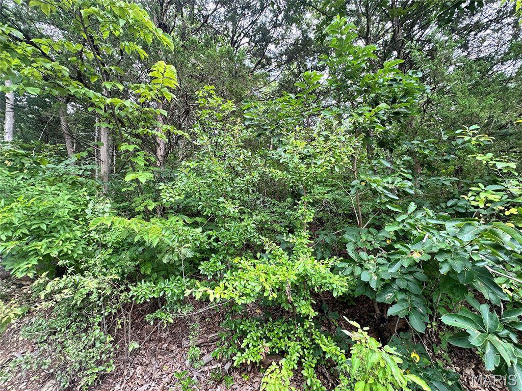 Lot 34 Lakeshore Drive - Photo 1