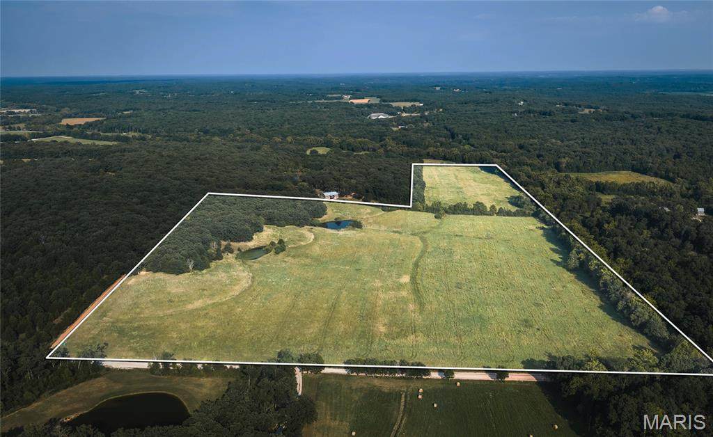 60.51 Acres 4th - Photo 1