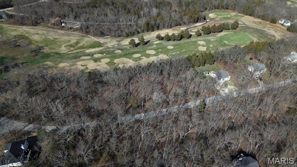 2 Lots// 9563 & 9569 Bent Tree Drive - Photo 1
