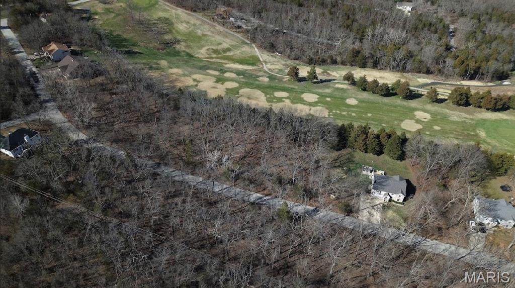 Lot 115// 9569 Bent Tree Drive - Photo 1