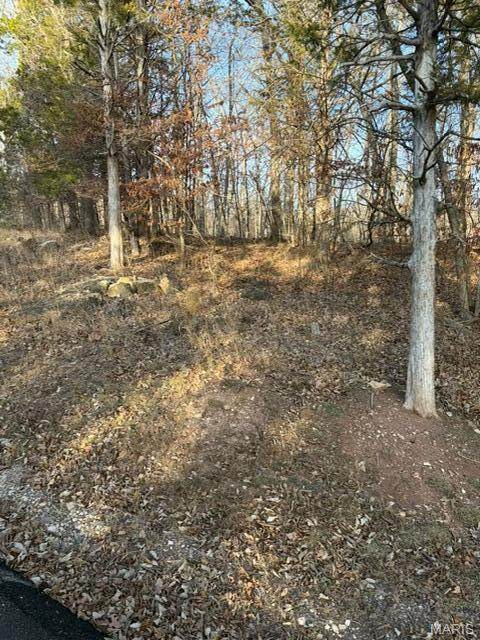 1818 Lake Sherwood Drive - Photo 1