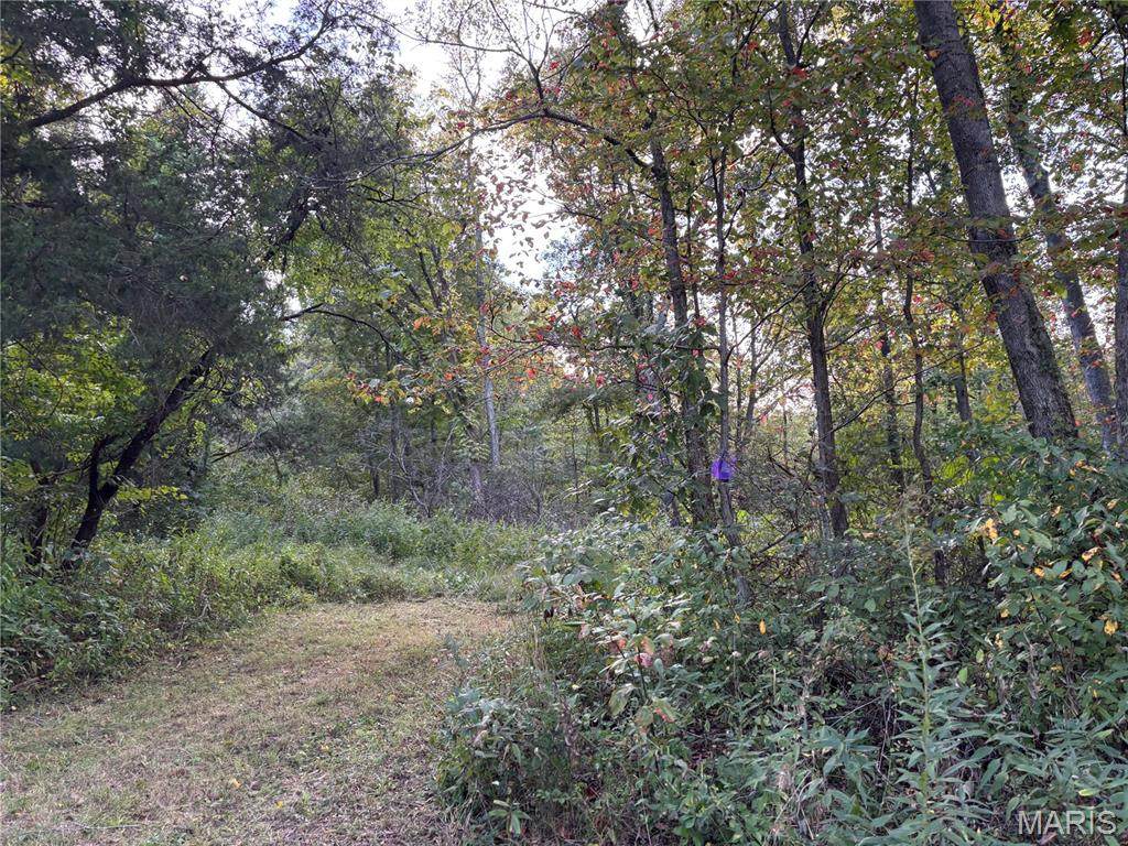 3240 Highway O - Photo 1