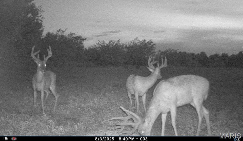 00 Abbott Road - Photo 1