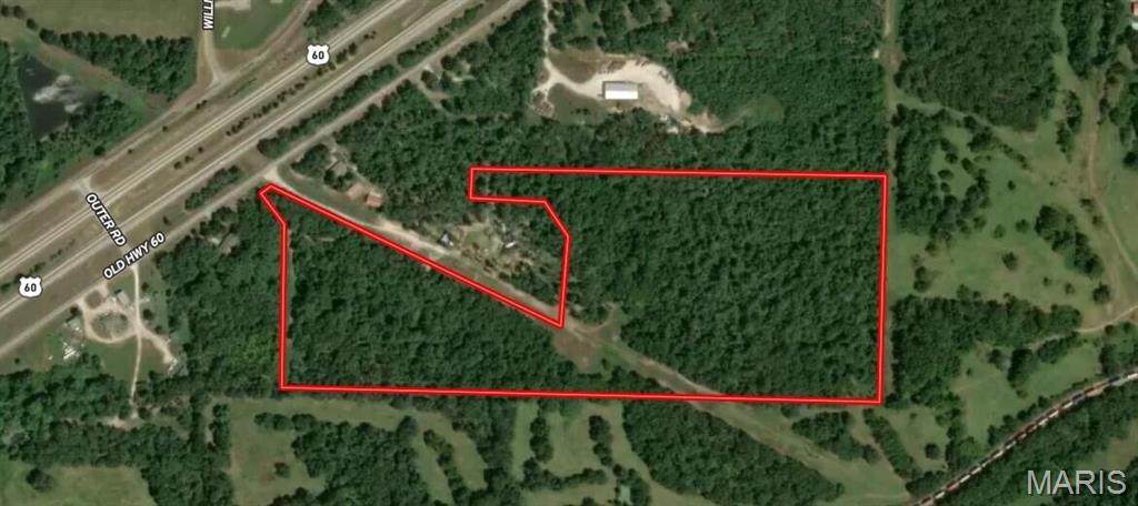 0 M- Old Highway 60 - Photo 1