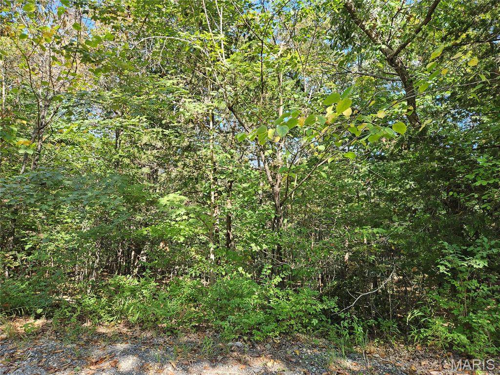 9488 Bent Tree Drive - Photo 1