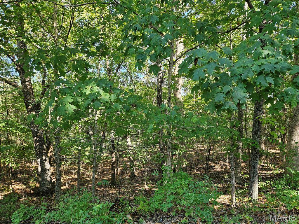 https://bt-photos.global.ssl.fastly.net/midamerica/orig_boomver_1_26061092-1.jpg