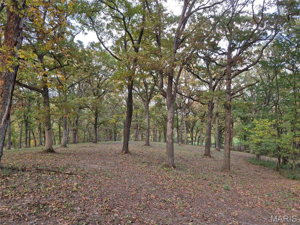 0 Highway D - Tract 5A (14+/- Acres) - Photo 1