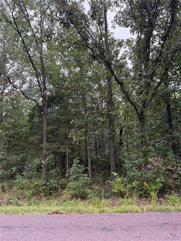 2128 Lone Wolf Drive - Photo 1