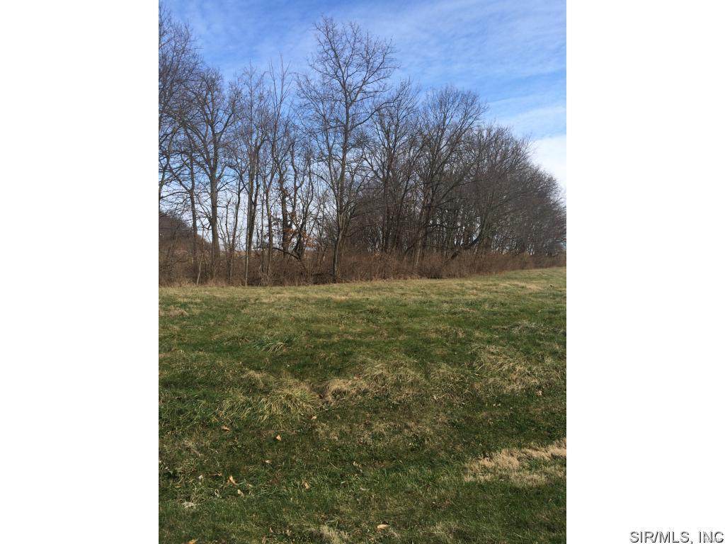 3832 Meadow Lane - Photo 1