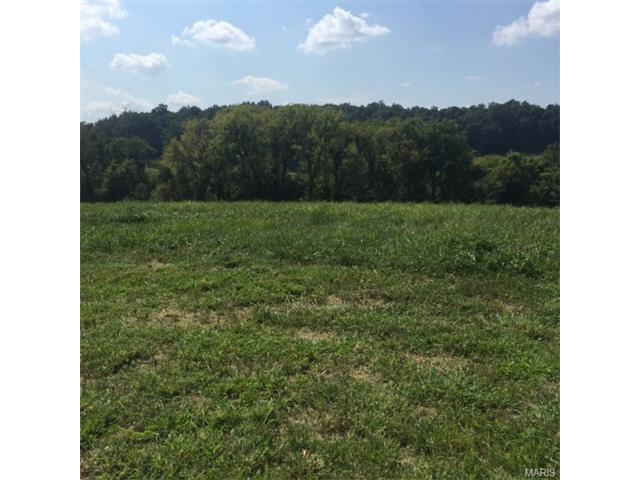 21 Heritage Farm - Photo 1