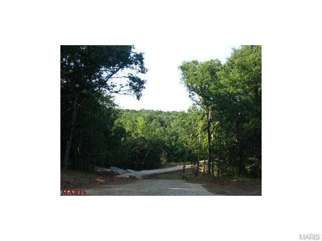 0 Lot #16 Bristol Ridge - Photo 1