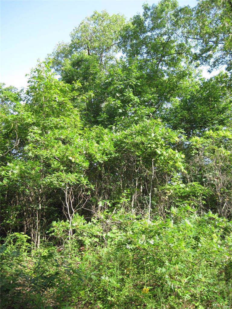 0 Tbd Hwy 49 - Photo 1