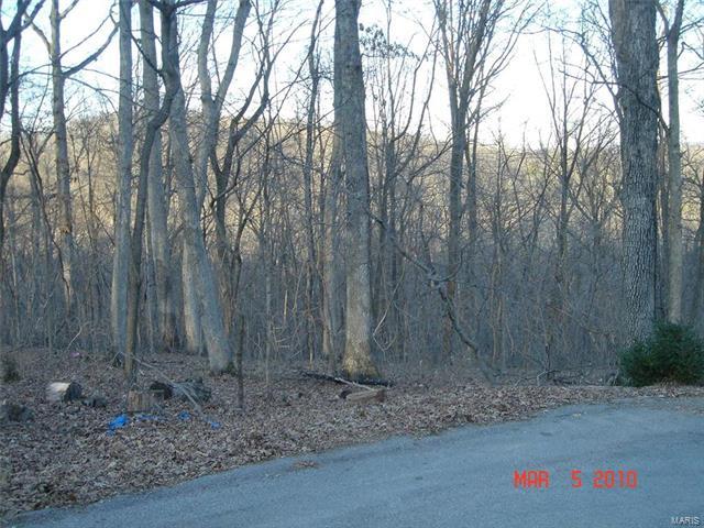 1201 Hickory Run Lane - Photo 1