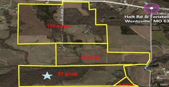 0 Holt Road - Photo 1
