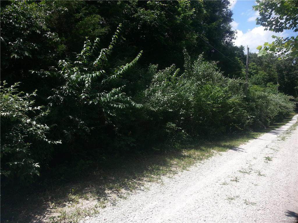 532 Grand Loop - Photo 1