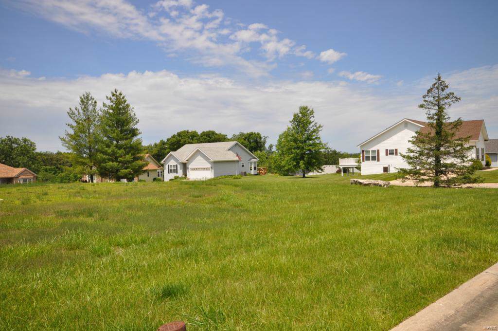 217 Fiddlecreek Ridge - Photo 1