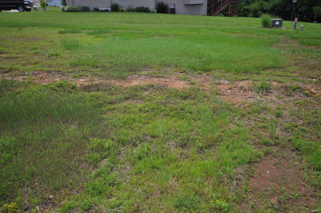 239 Fiddlecreek Ridge - Photo 1