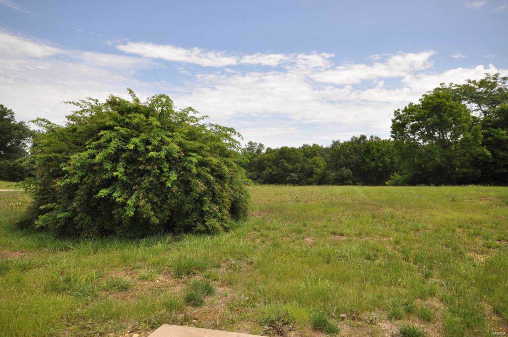238 Fiddlecreek Ridge - Photo 1
